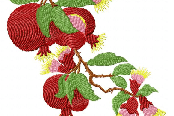 Pomegranate Fruits Embroidery Review